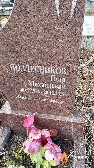 Подлесников Петр Михайлович