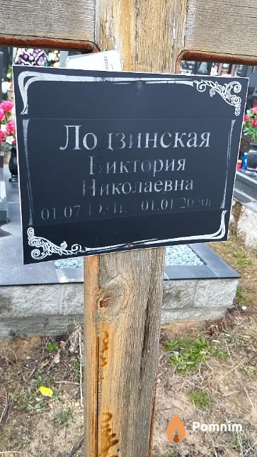 Лодзинская Виктория Николаевна