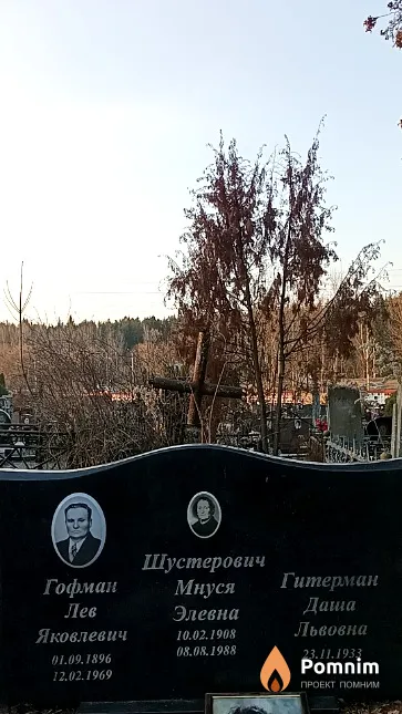 Гитерман Даша Львовна