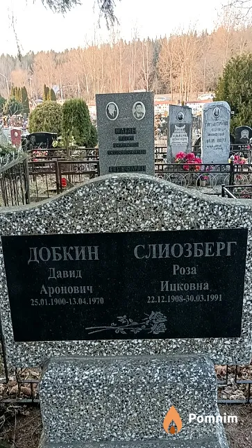Добкин Давид Аронович