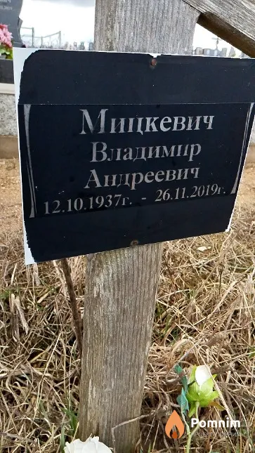 Мицкевич Владимир Андреевич