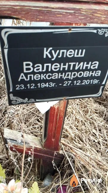 Кулеш Валентина Александровна