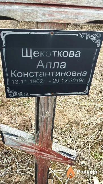 Щекоткова Алла Константиновна