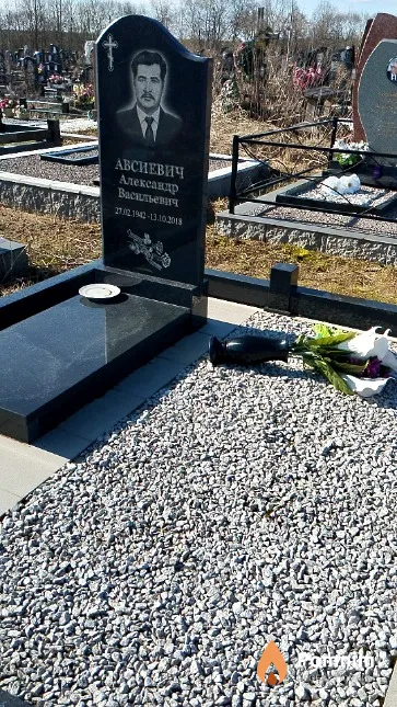 Авсиевич Александр Васильевич