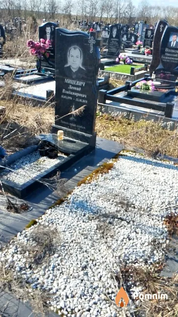 Мицевич Леонид Владимирович