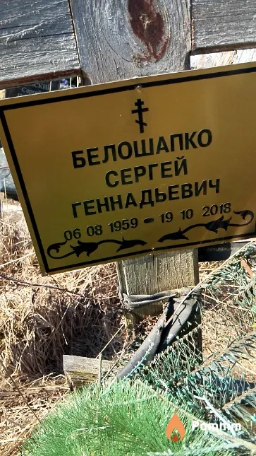 Белошапко Сергей Геннадьевич