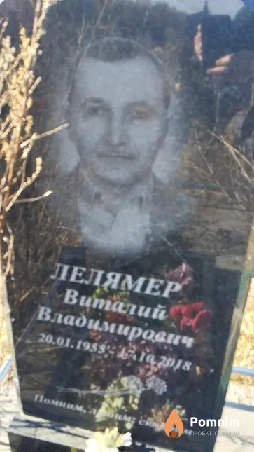 Лелямер Виталий Владимирович