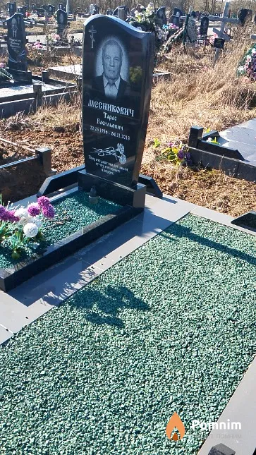 Месникович Тарас Васильевич