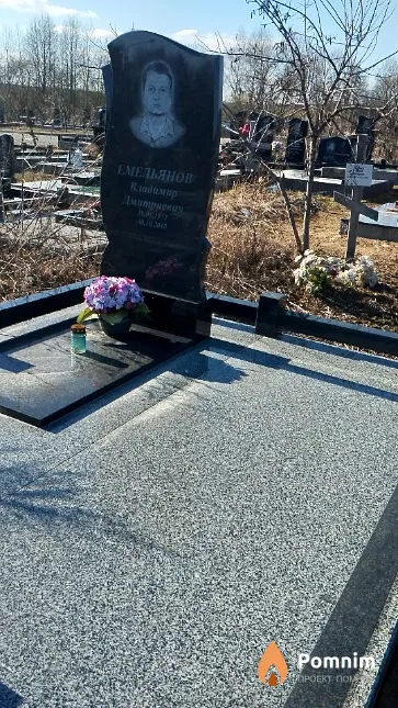Емельянов Владимир Дмитриевич