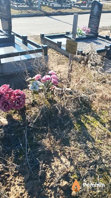 Самульцева Юлия Антоновна
