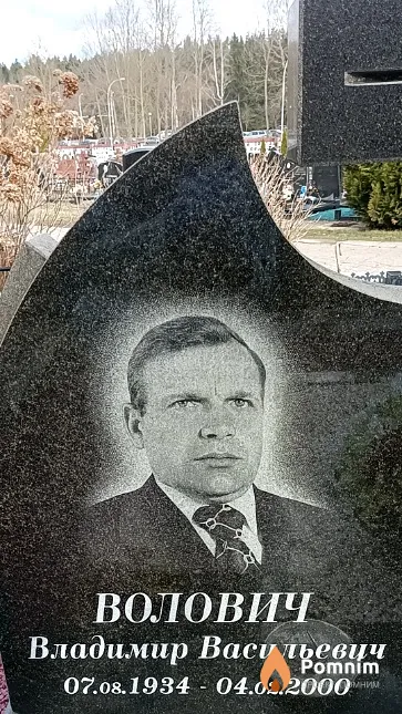 Волович Владимир Васильевич