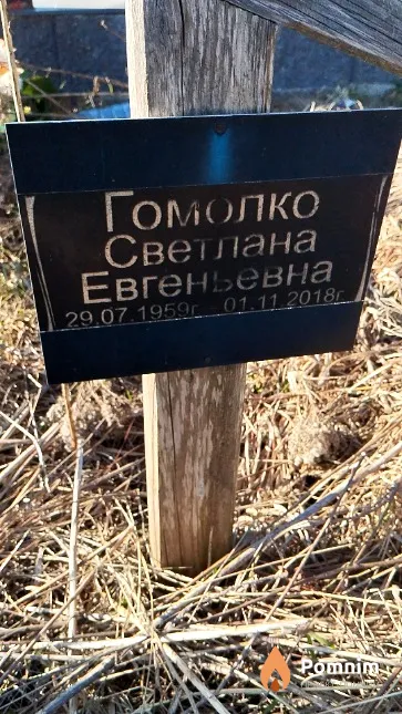 Гомолко Светлана Евгеньевна