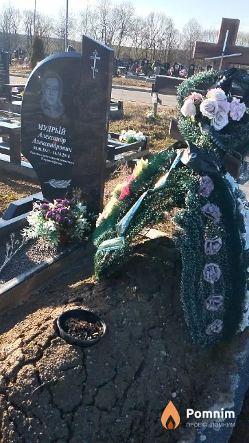 Мудрый Александр Александрович