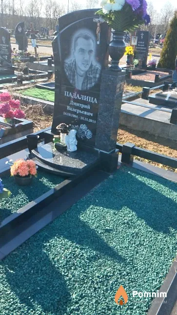 Падалица Дмитрий Валерьевич