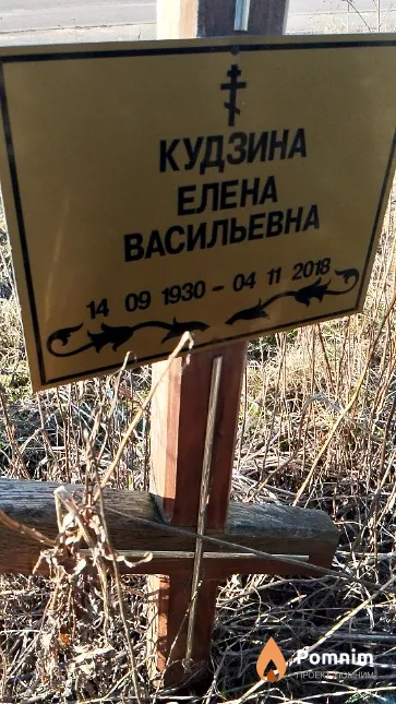 Кудзина Елена Васильевна
