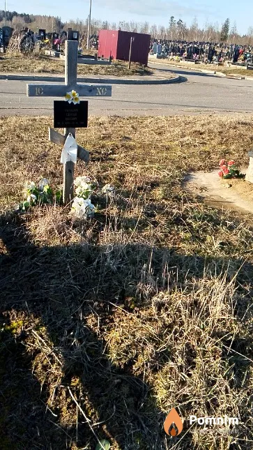 Гинзбург Сергей Шаевич