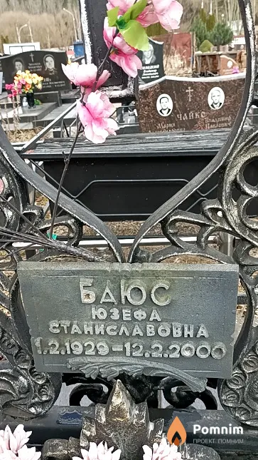 Баюс Владимир Александрович