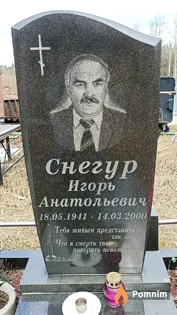 Снегур Игорь Анатольевич