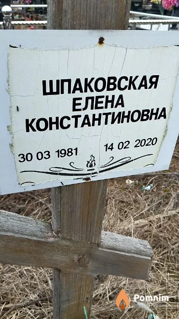 Шпаковская Елена Константиновна