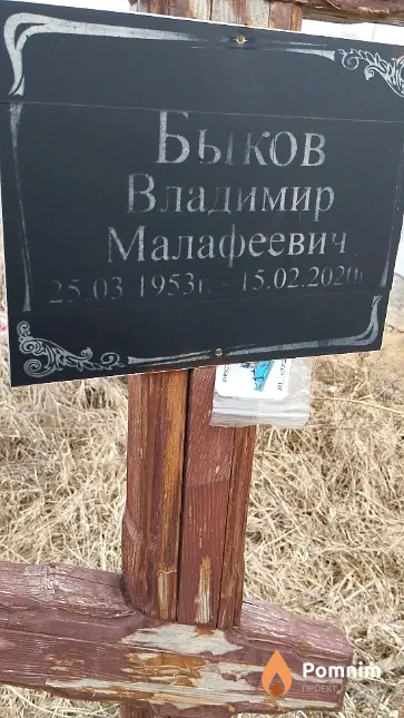 Быков Владимир Малафеевич