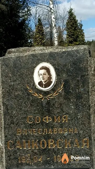 Санковский Анатолий Владимирович