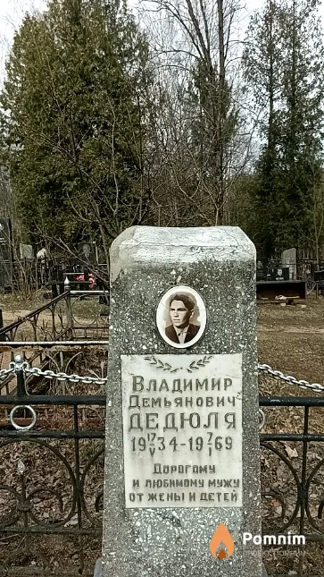 Дедюля Владимир Демьянович