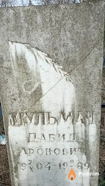 Шульман Давид Аронович