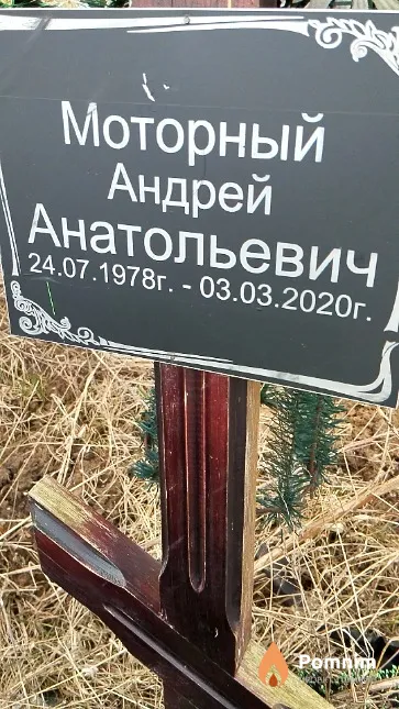 Моторный Андрей Анатольевич
