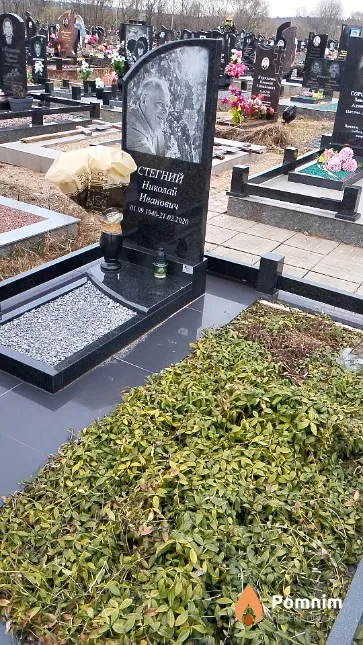 Стегний Николай Иванович