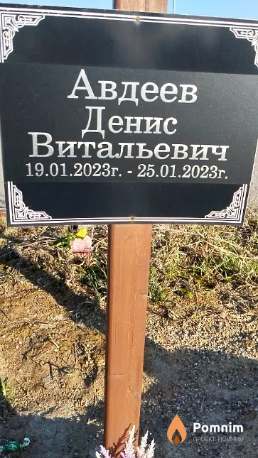 Авдеев Денис Витальевич