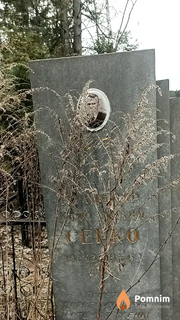 Серко Владимир Николаевич