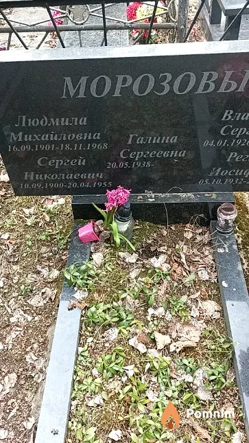 Морозова Регина Иосифовна