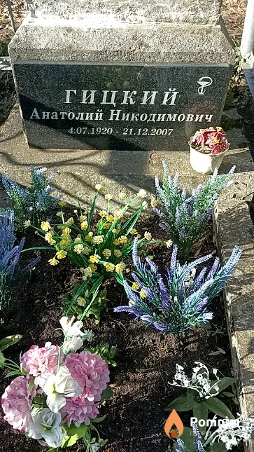 Гицкий Анатолий Никодимович