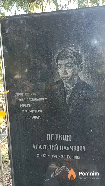Перкин Анатолий Наумович