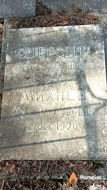 Ошерович Любовь Ильинична