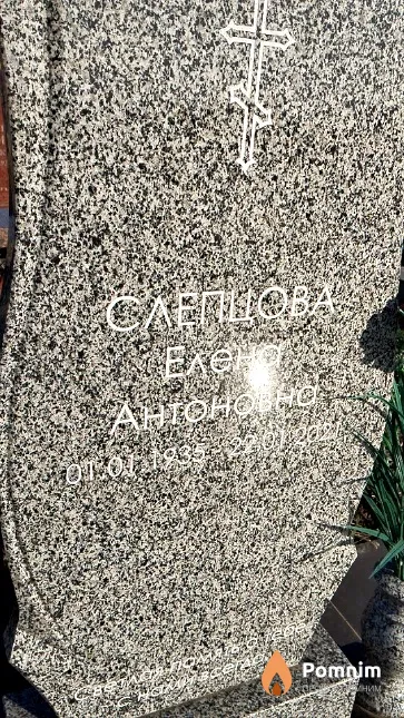 Слепцова Елена Антоновна