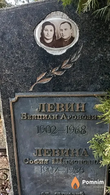 Левин Венциан Аронович