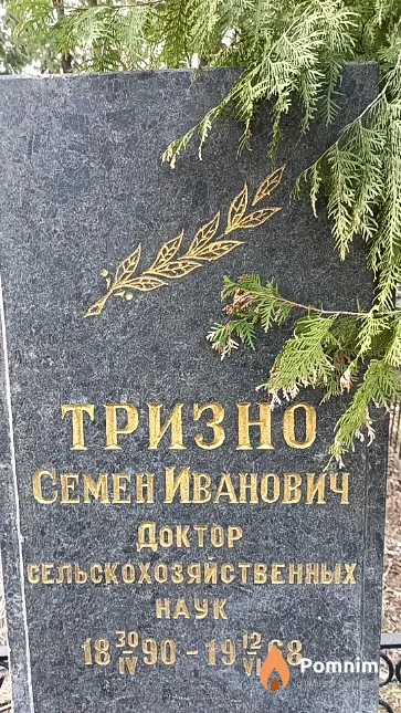 Тризно Ефросиния Михайловна