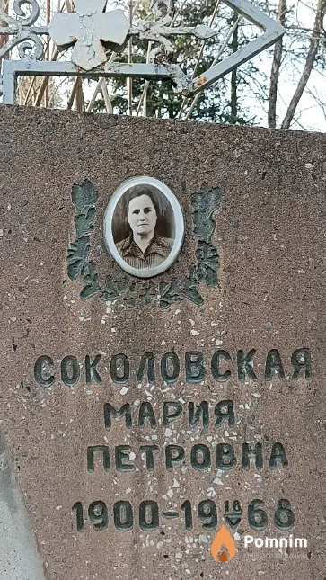 Соколовский Владимир Викентьевич