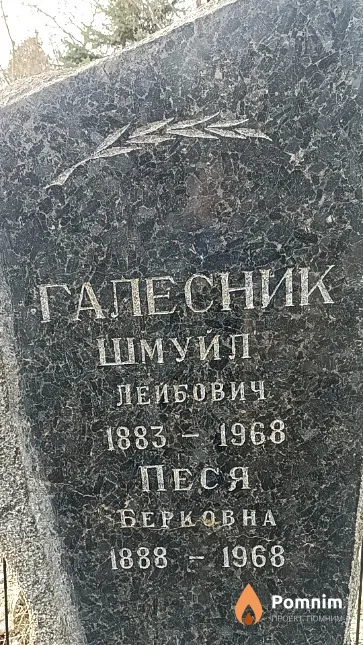 Галесник Шмуил Лейбович