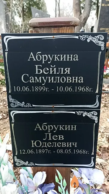 Абрукина Бейля Самуиловна