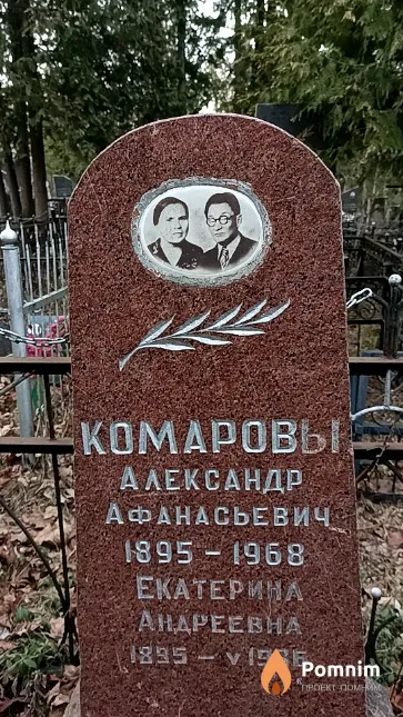 Комаров Александр Афанасьевич