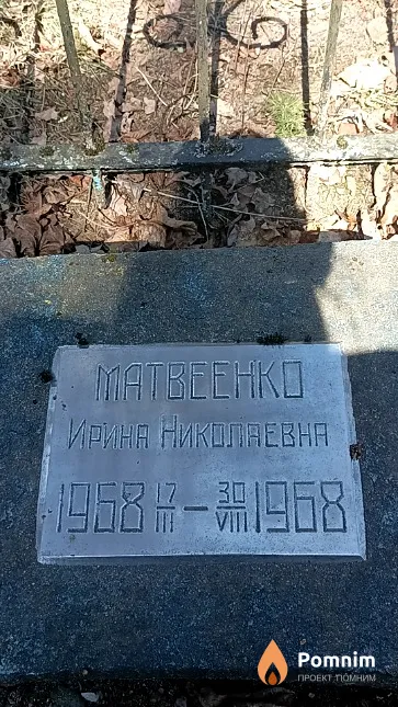 Матвеенко Ирина Николаевна