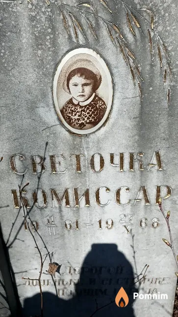 Комиссар Светочка