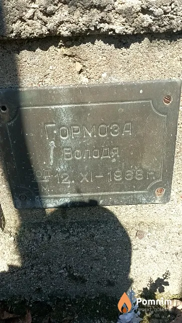 Гормоза Володя