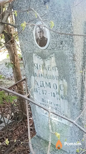Адмос Янкеф Калманович