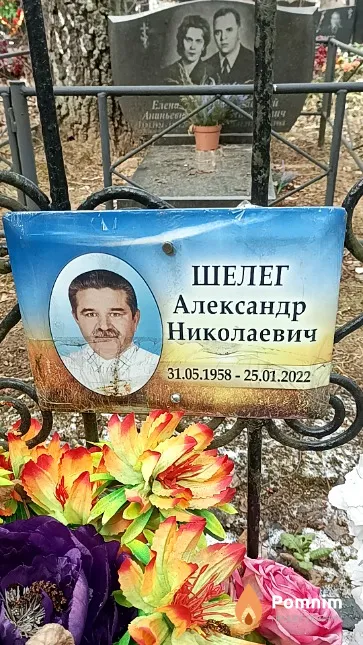Шелег Александр Николаевич