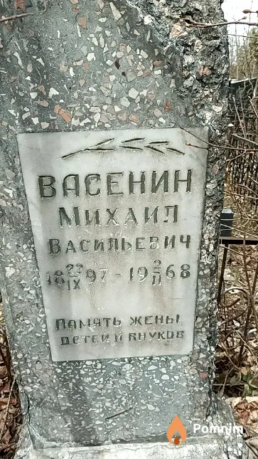 Васенин Михаил Васильевич