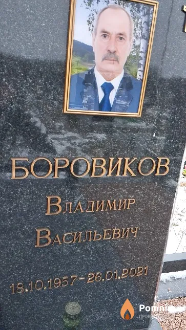 Боровиков Владимир Васильевич