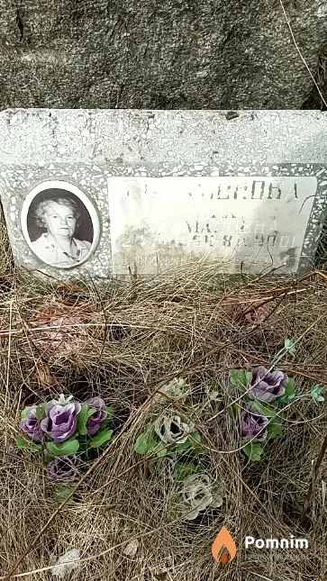 Соломонова Нина Залмановна